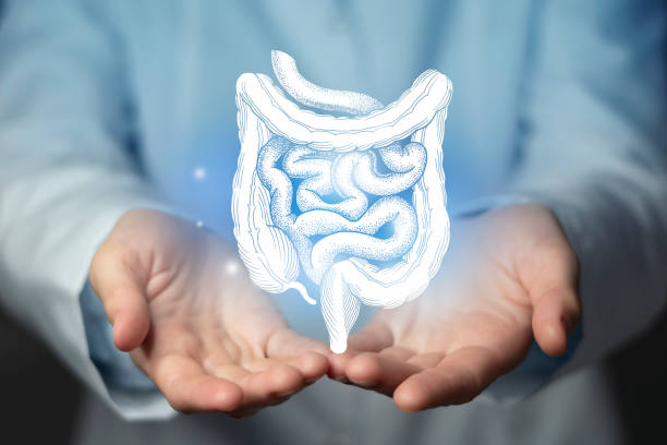 Digestive Health
